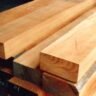 Kapur Wood Supplier Kantilal & Sons - Premium Kapur Timber in India