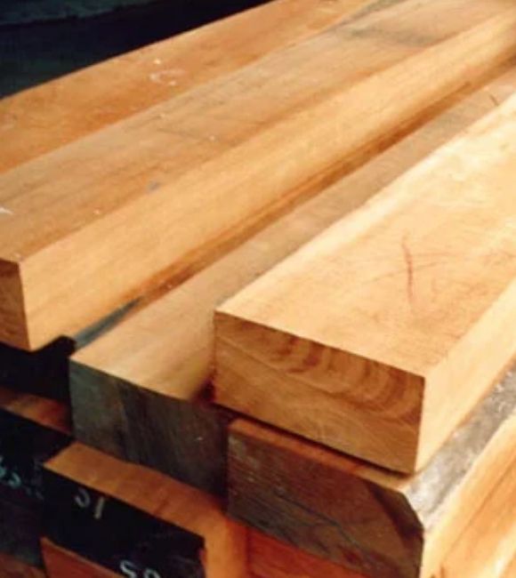 Kapur Wood Supplier Kantilal & Sons - Premium Kapur Timber in India
