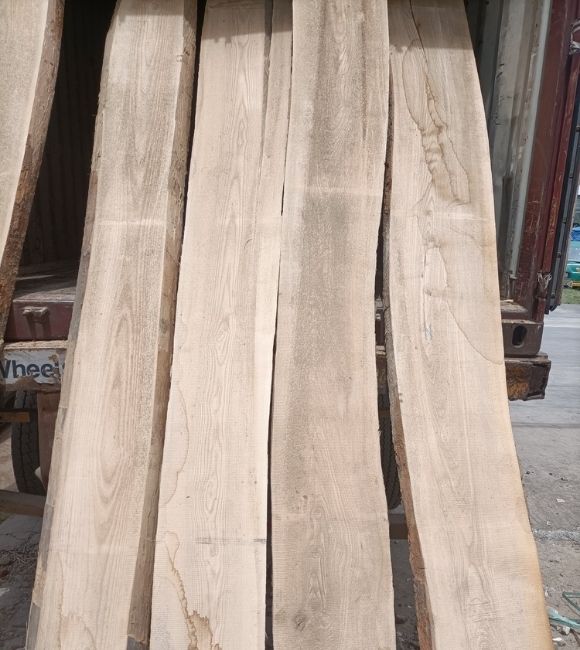 White Ash Wood Supplier Kantilal & Sons - Premium White Ash Timber in India