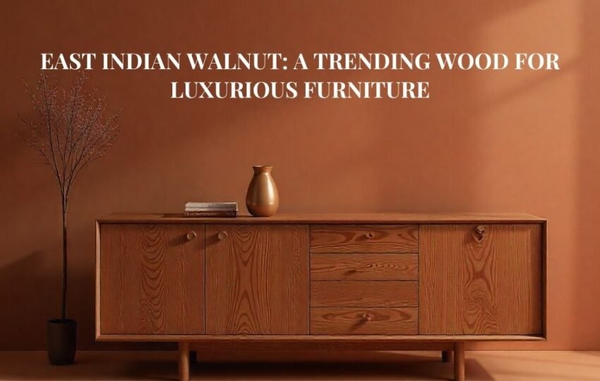 Luxury interior with East Indian Walnut wooden furniture sideboard against warm brown wall – Kantilal & Sons